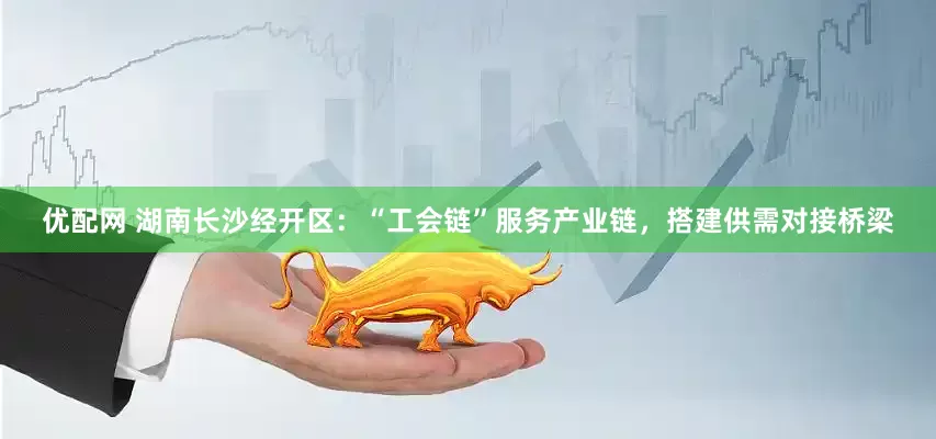 优配网 湖南长沙经开区：“工会链”服务产业链，搭建供需对接桥梁