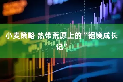 小麦策略 热带荒原上的“铝镁成长记”