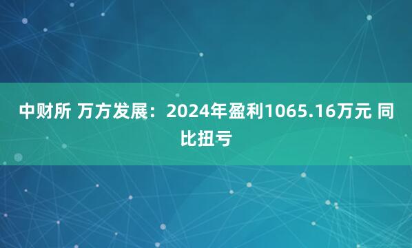 中财所 万方发展：2024年盈利1065.16万元 同比扭亏