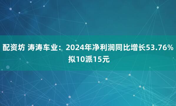 配资坊 涛涛车业：2024年净利润同比增长53.76% 拟10派15元